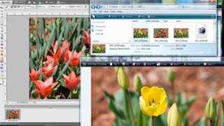 Microsoft's HD Photo Is Official JPEG Successor, Redubbed JPEG XR